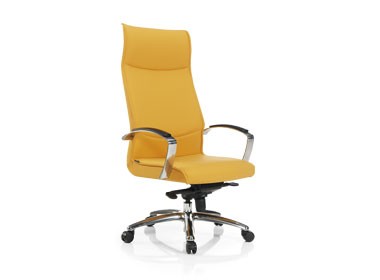 Executive Chairs - Swanky